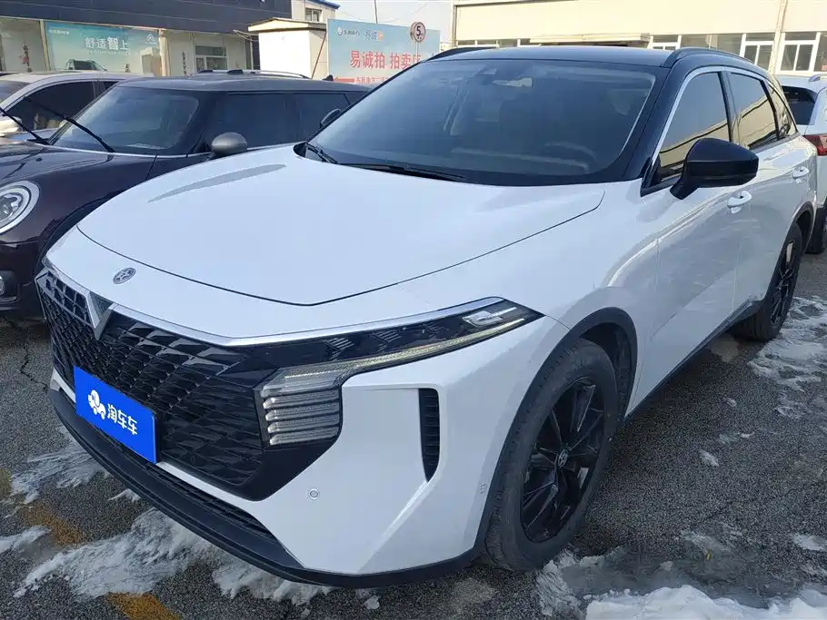 Venucia V 2021