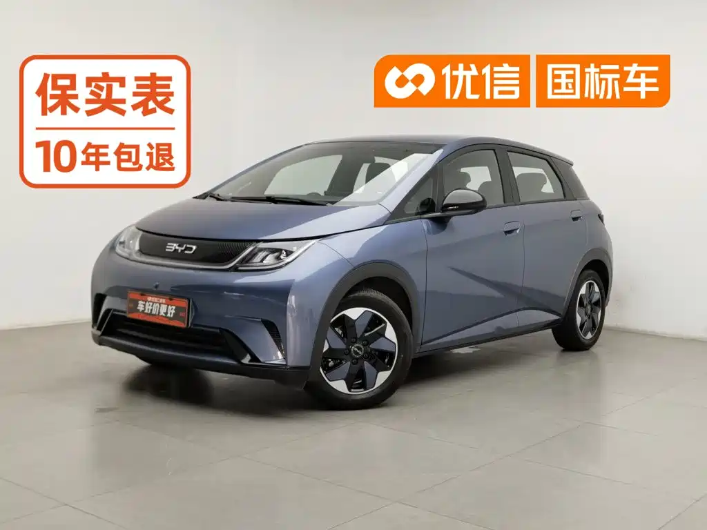 BYD Dolphin