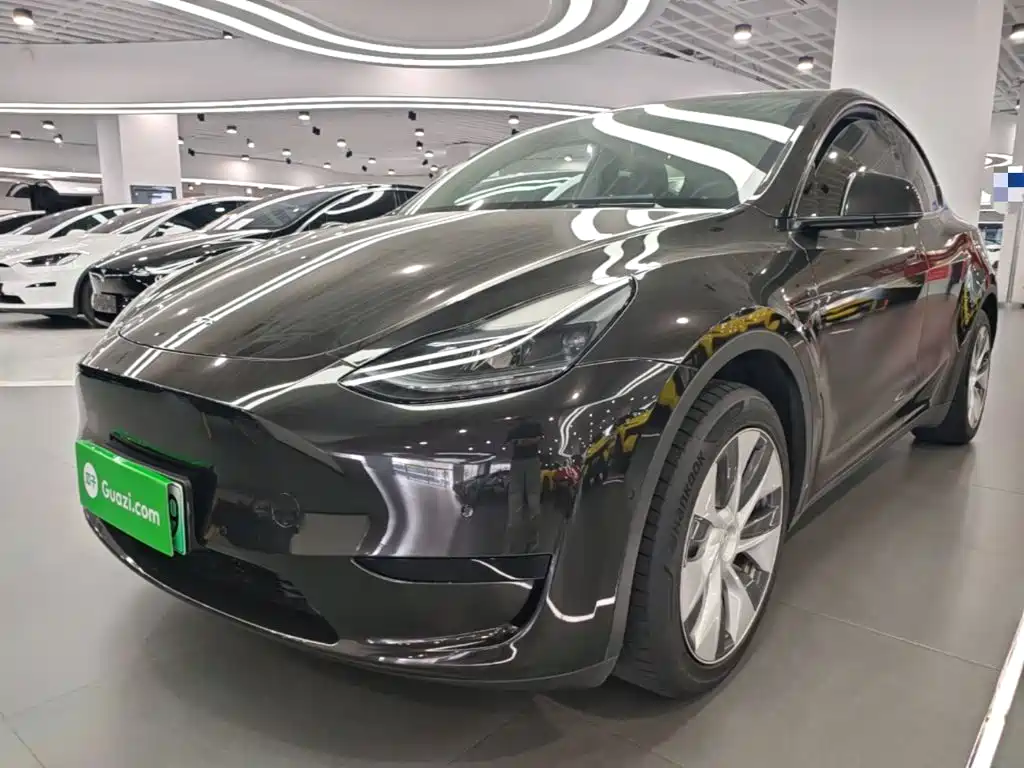 Tesla Model Y — миниатюра 2