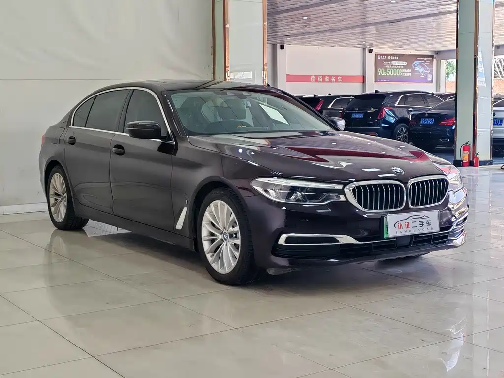 BMW 5 Series New Energy 2019