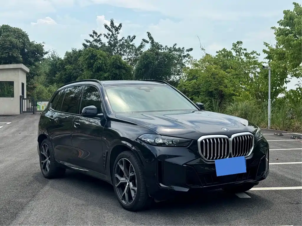 BMW X5 — миниатюра 3
