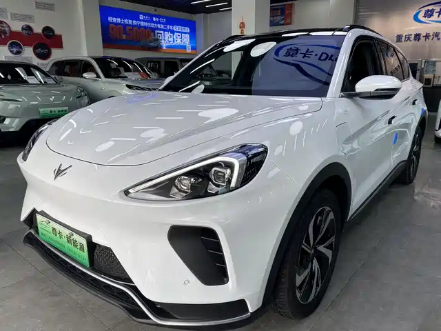 ARCFOX EXTREME FOX POLAR FOX ALPHA T 2024