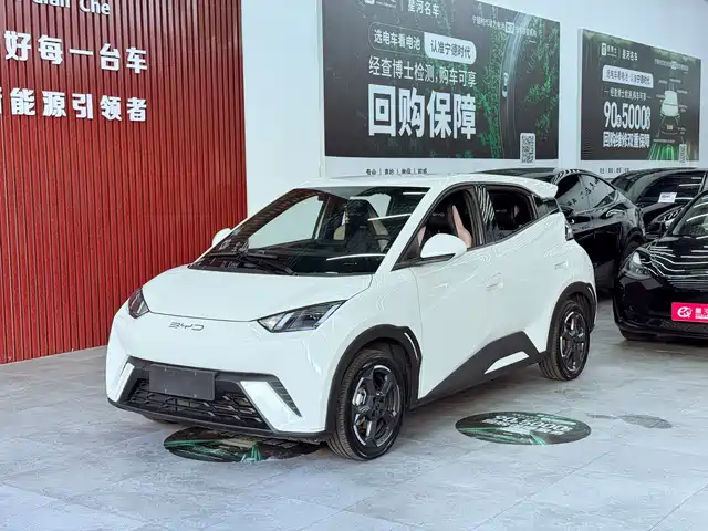 2024 BYD Seagull