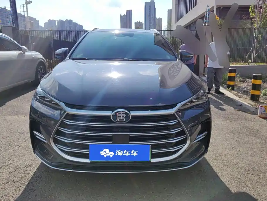 BYD Tang New Energy — миниатюра 2