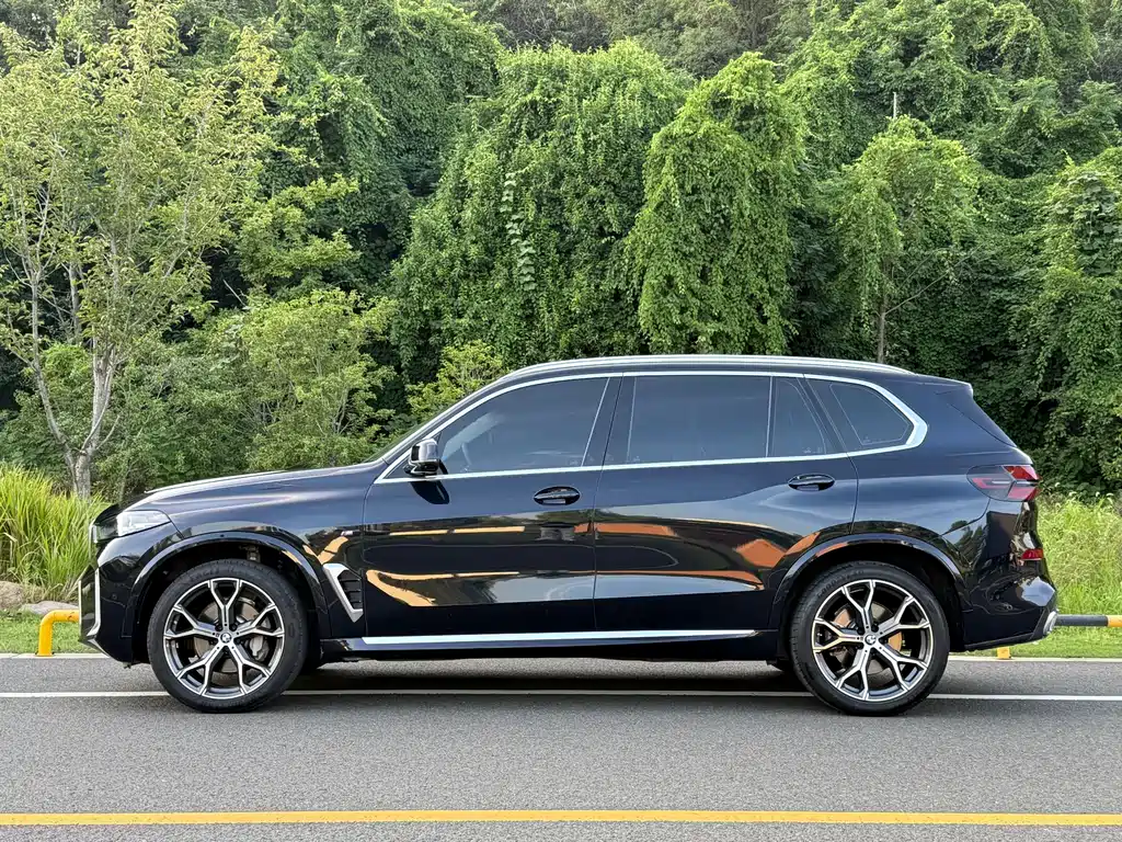 BMW X5 — миниатюра 14