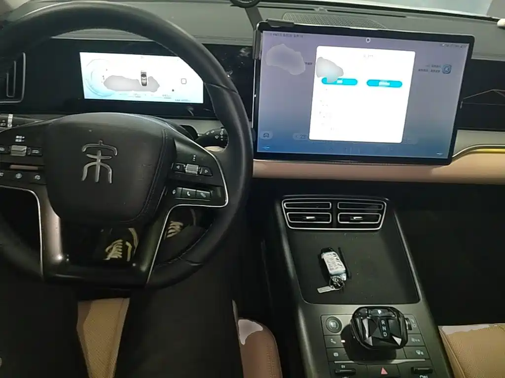 BYD Pro New Energy — миниатюра 10