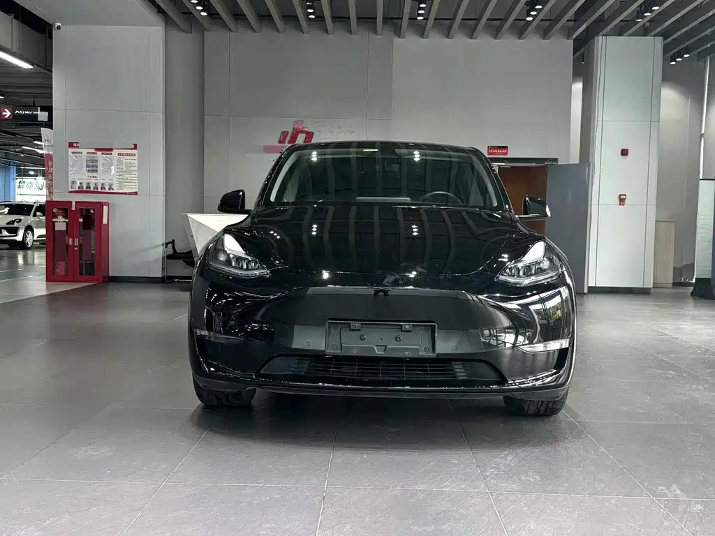 Tesla Model Y — миниатюра 2
