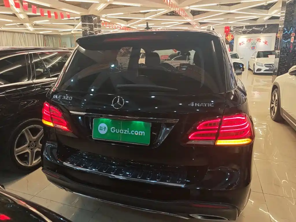 Mercedes-Benz 奔驰GLE(进口) — миниатюра 6