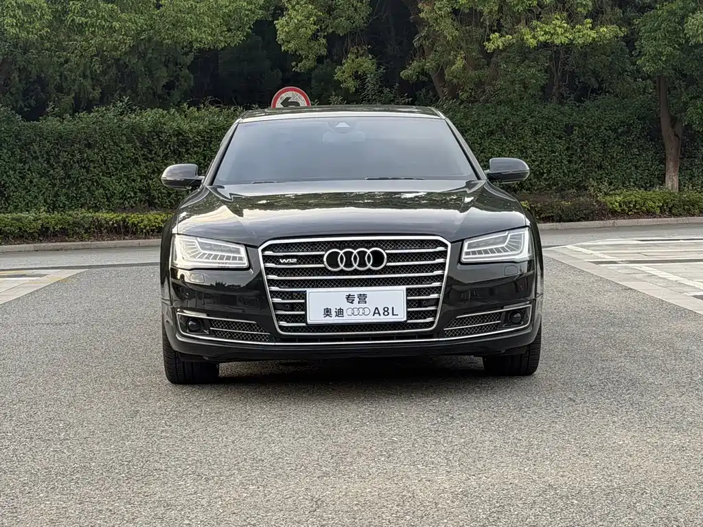 Audi A8 — миниатюра 2