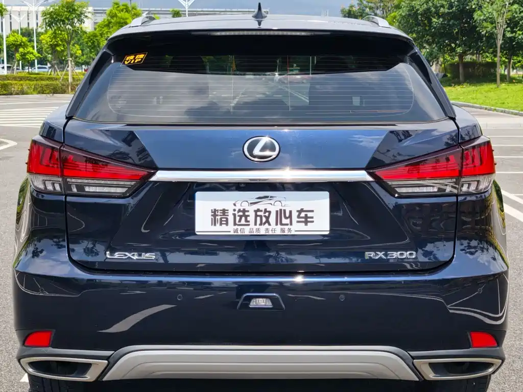 Lexus RX — миниатюра 5