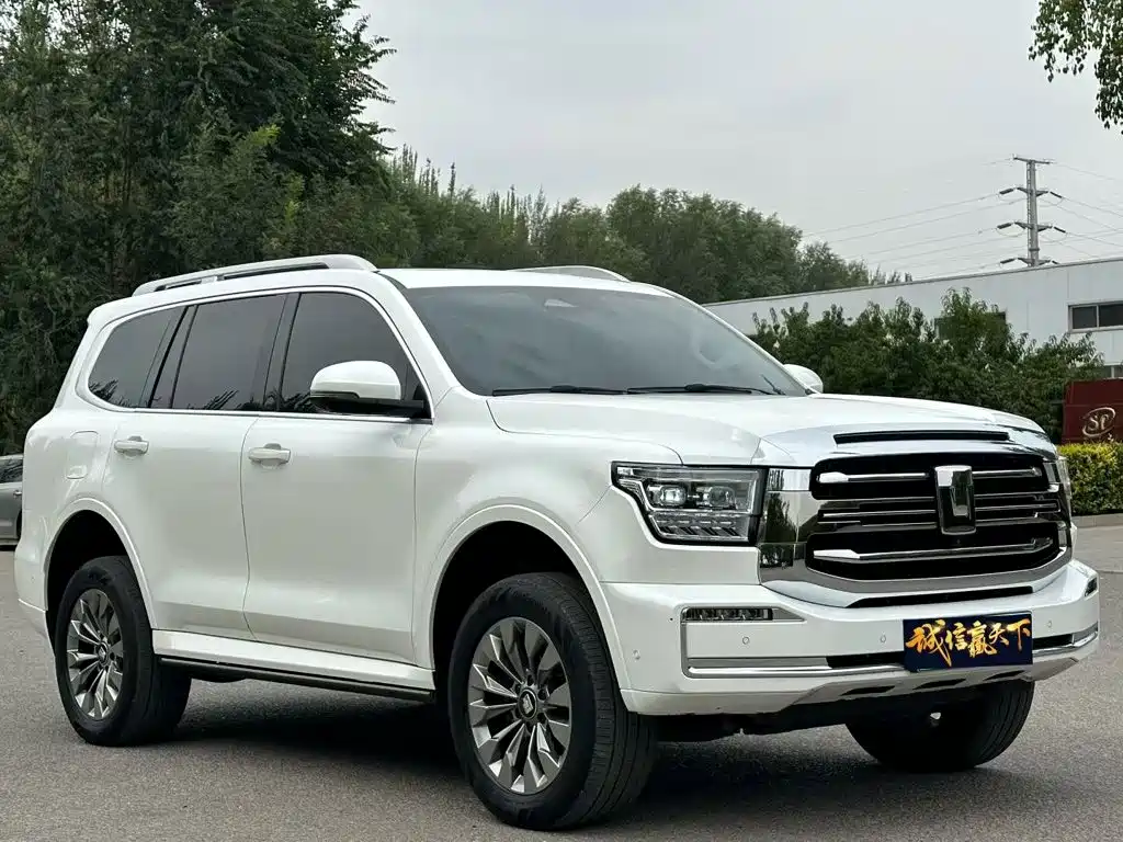 Tank Tank 500 New Energy — миниатюра 3