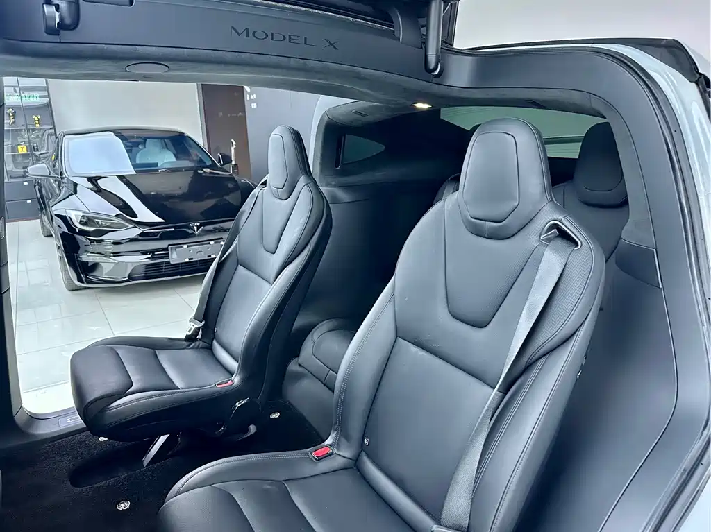Tesla Model X — миниатюра 8