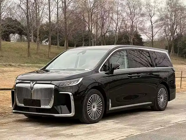 2024 Voyah Dream