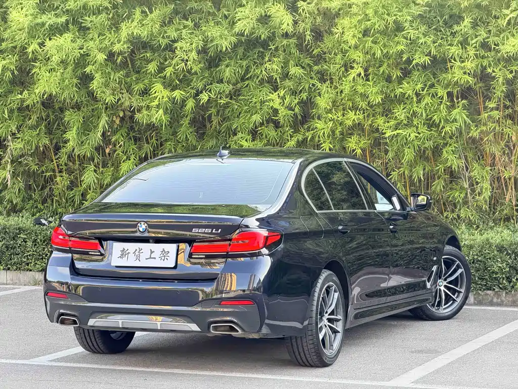 BMW 5 Series — миниатюра 8