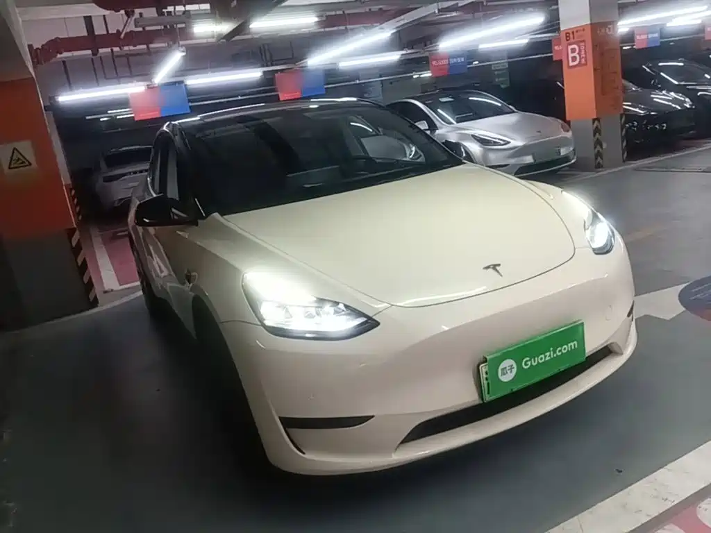 Tesla Model Y — миниатюра 4