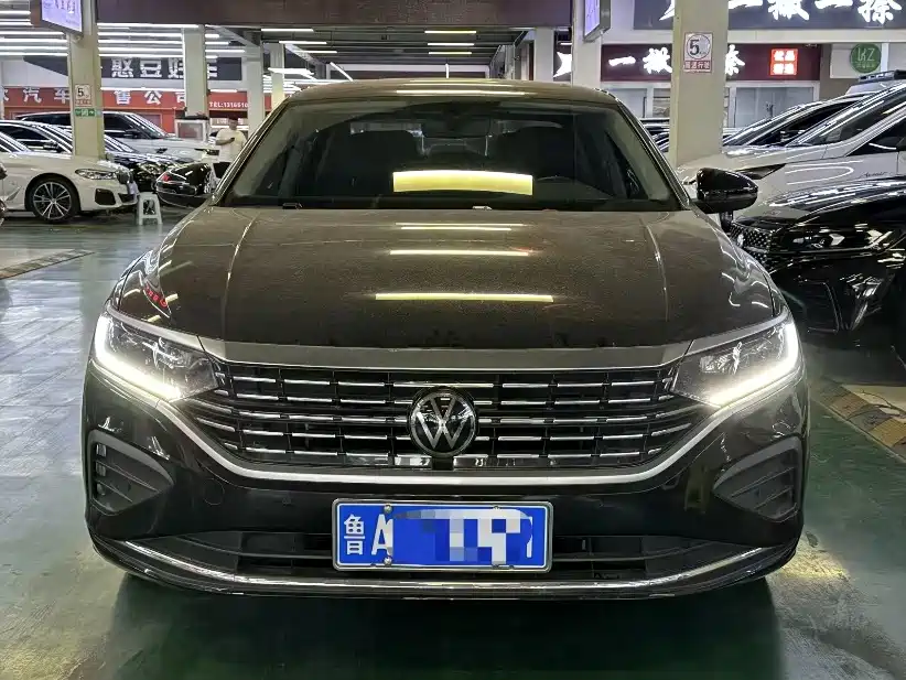 Volkswagen Passat — миниатюра 2