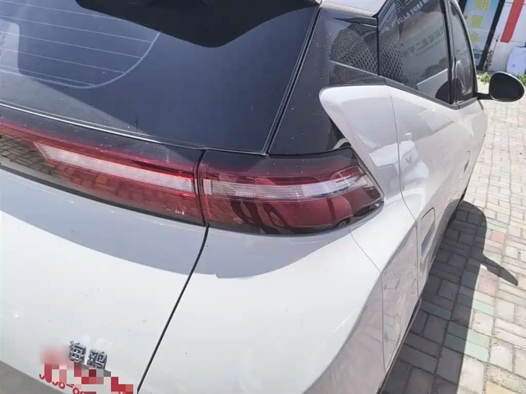 BYD Seagull 2025 305km