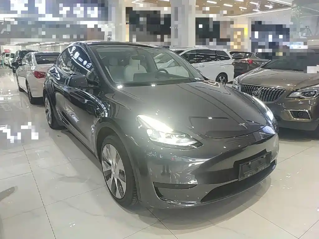 Tesla Model Y — миниатюра 4