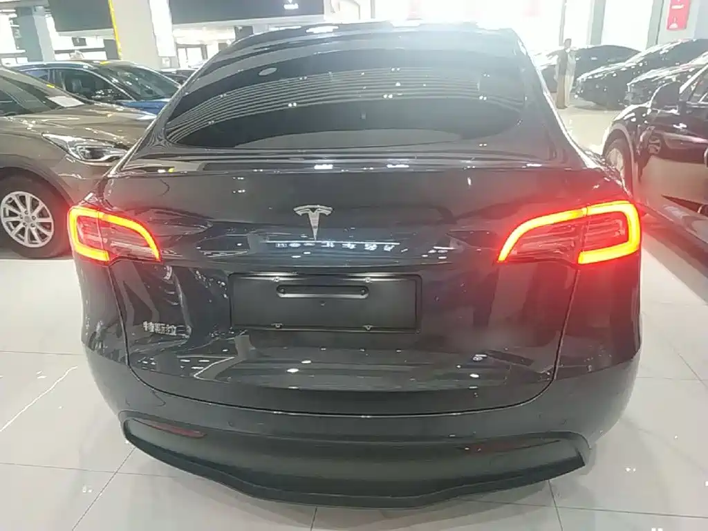 Tesla Model Y — миниатюра 6