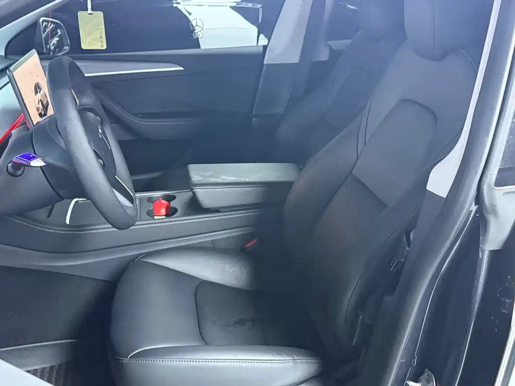 Tesla Model Y — миниатюра 4
