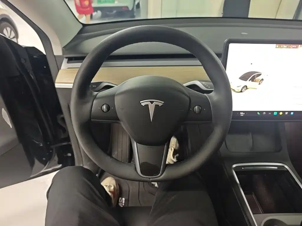 Tesla Model Y — миниатюра 11