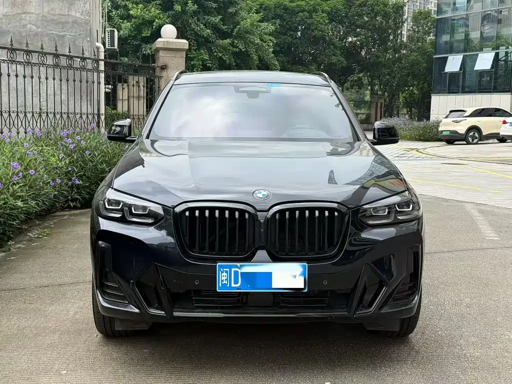 BMW X3 — миниатюра 2