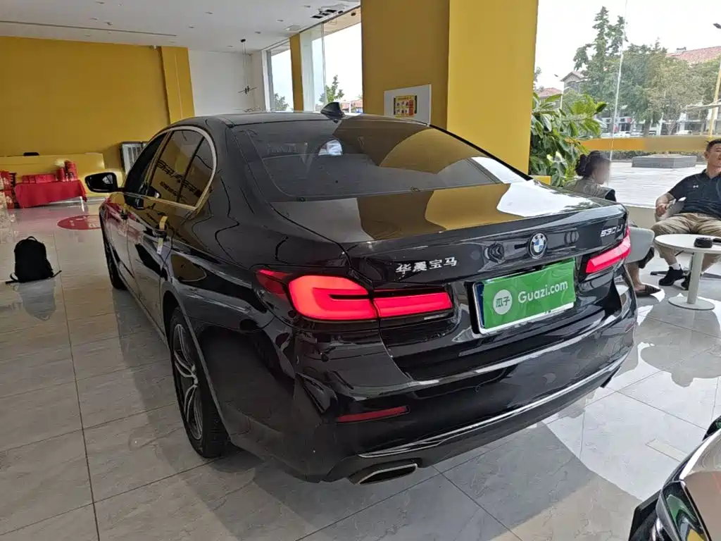 BMW 5 Series — миниатюра 5