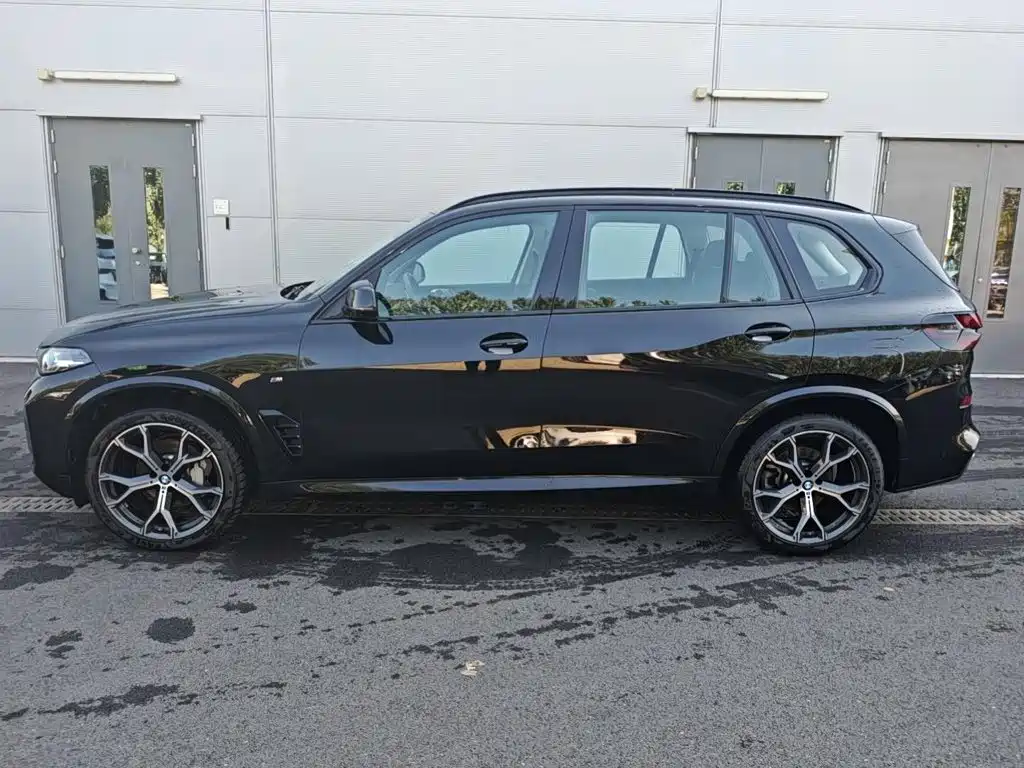 BMW X5 — миниатюра 2