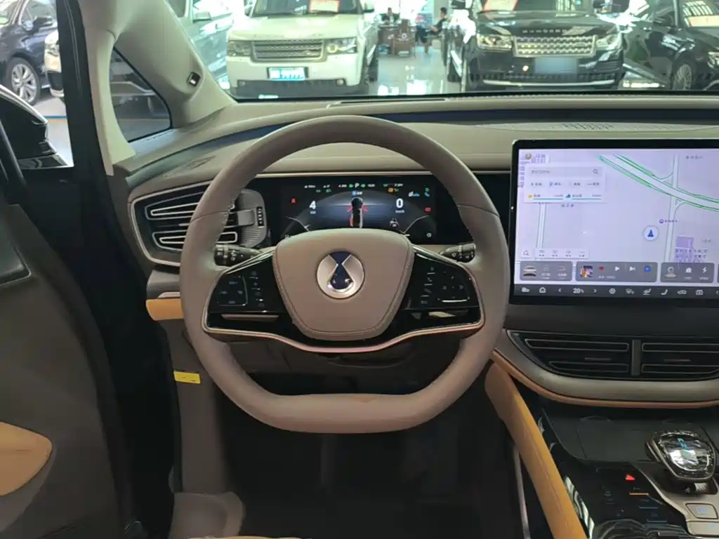 Denza Denza D9 — миниатюра 11
