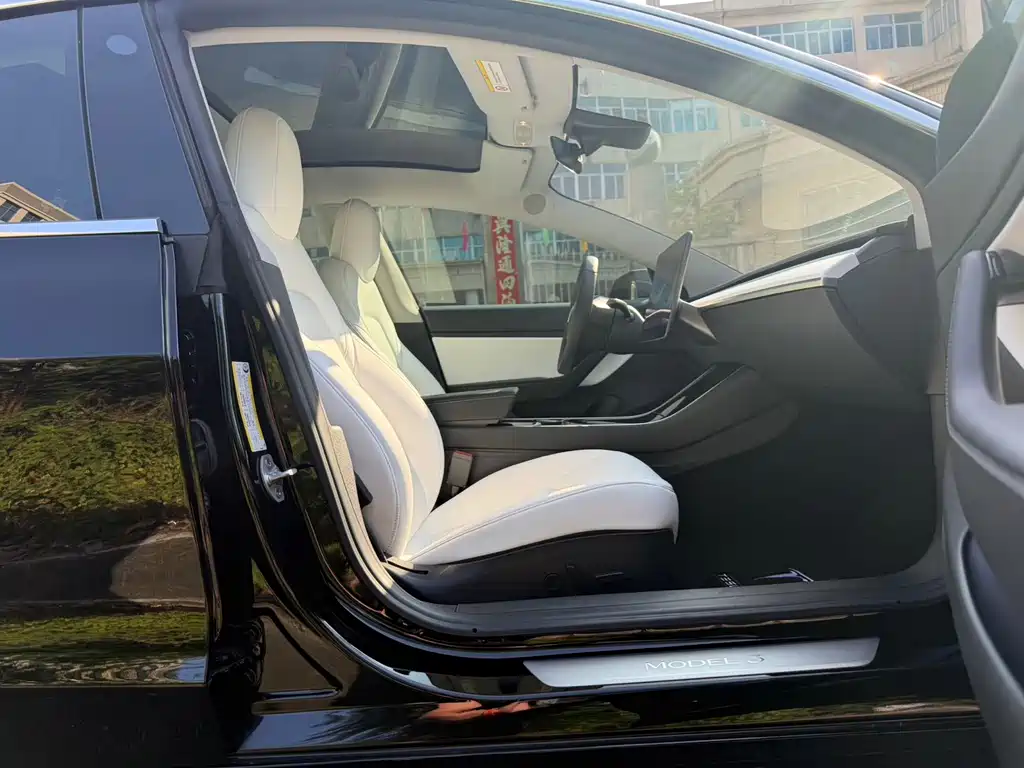 Tesla Model 3 — миниатюра 19