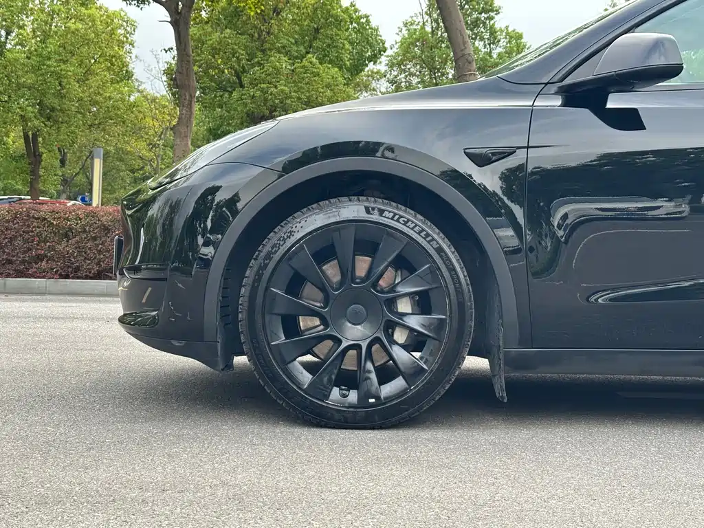 Tesla Model Y — миниатюра 8