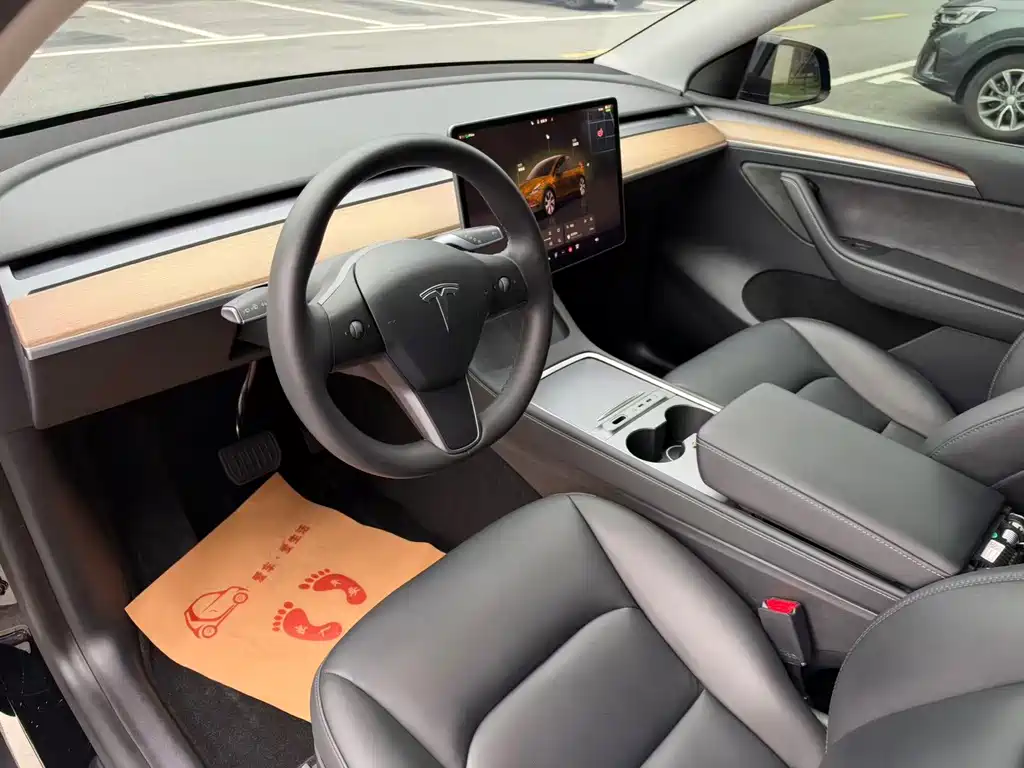 Tesla Model Y — миниатюра 10