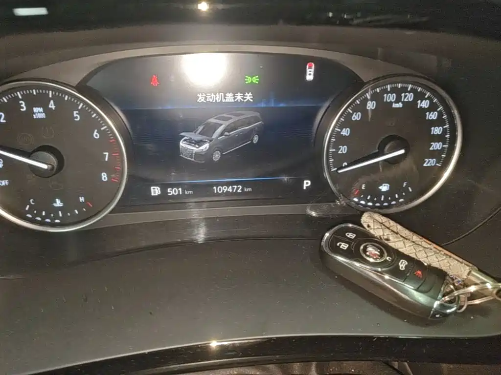 Buick GL8 — миниатюра 17