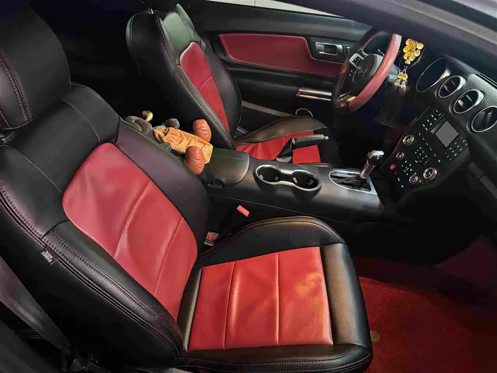 Ford Mustang — миниатюра 14