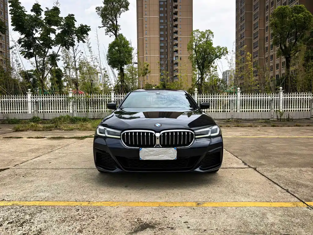 BMW 5 Series 2021