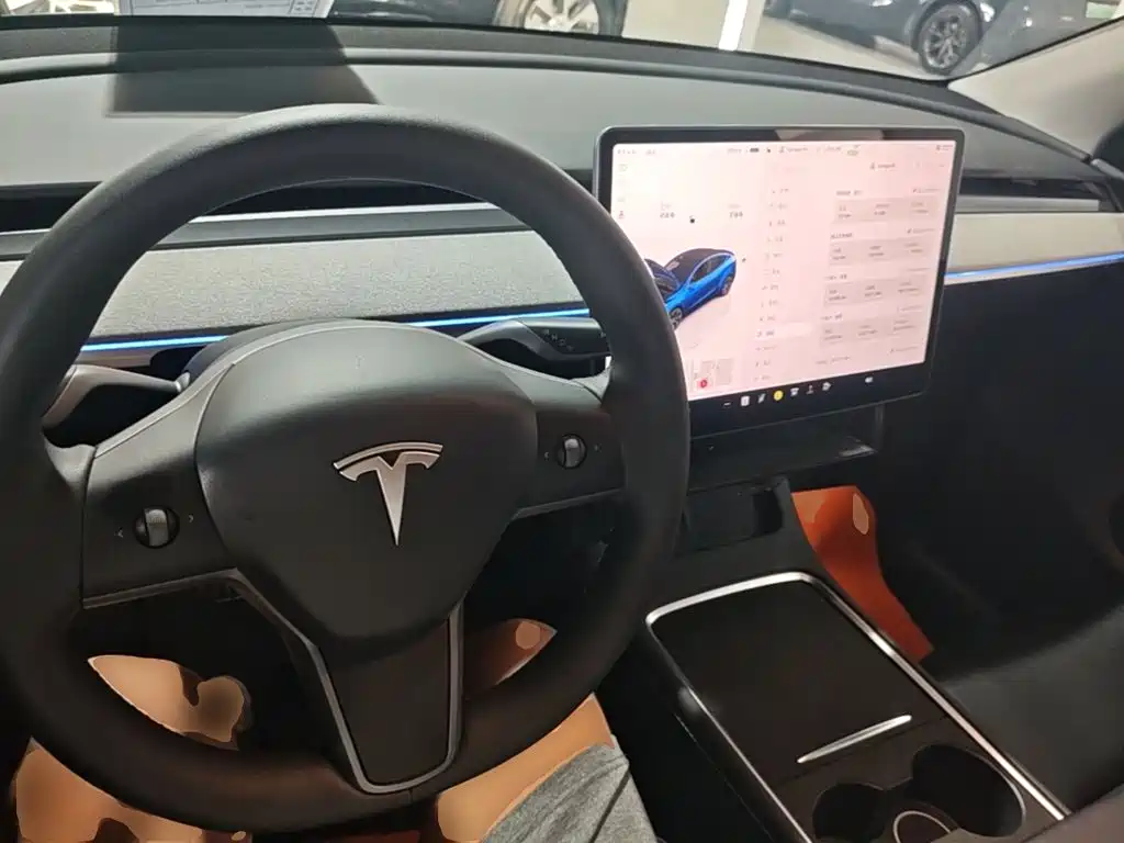Tesla Model Y — миниатюра 10