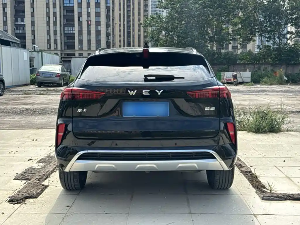 Wey Wey Mocha — миниатюра 11