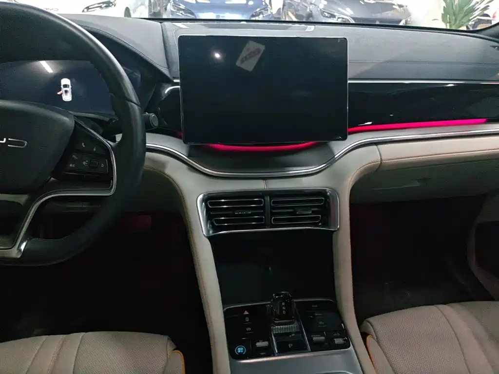 BYD PLUS New Energy — миниатюра 13