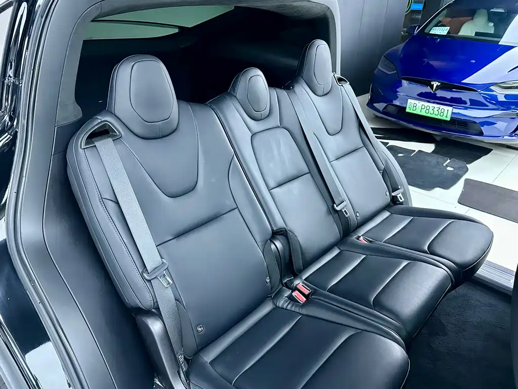 Tesla Model X — миниатюра 14