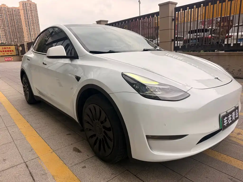 Tesla Model Y — миниатюра 3