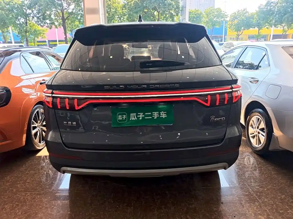 BYD Pro — миниатюра 6
