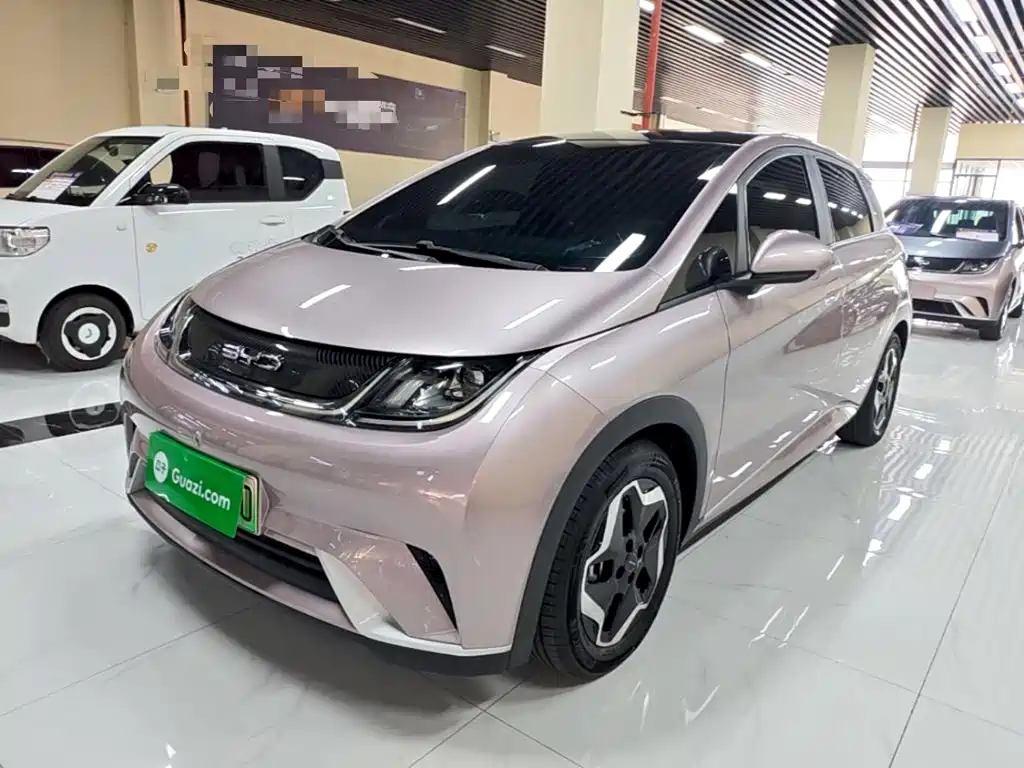BYD Dolphin — миниатюра 2