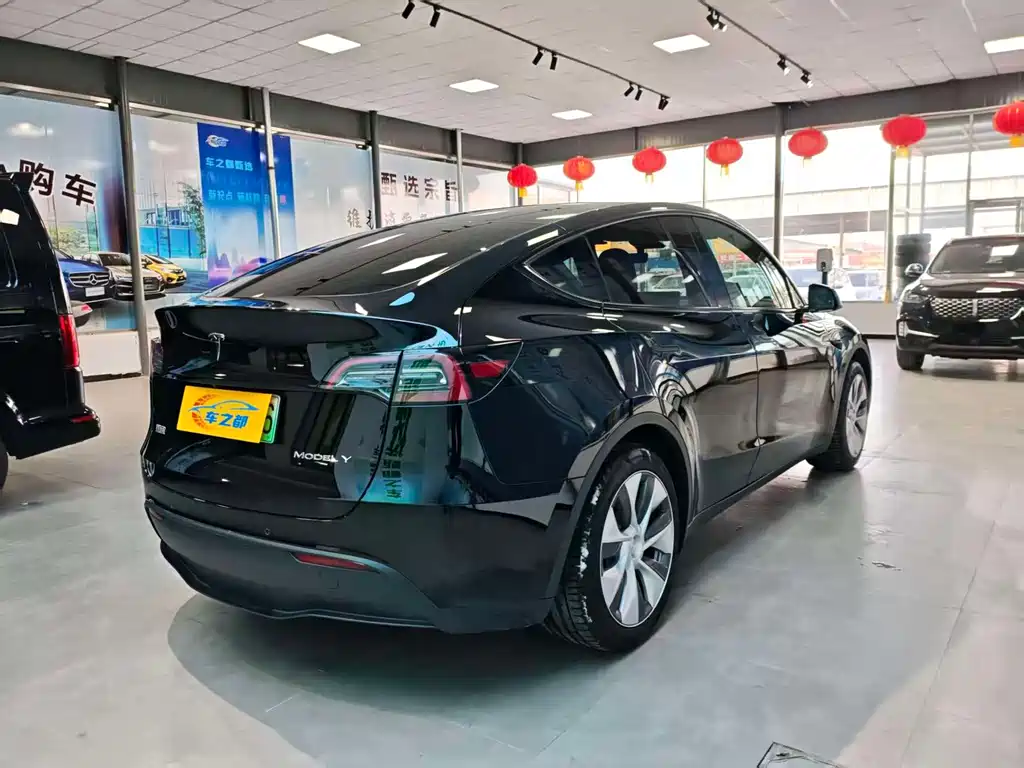 Tesla Model Y — миниатюра 9
