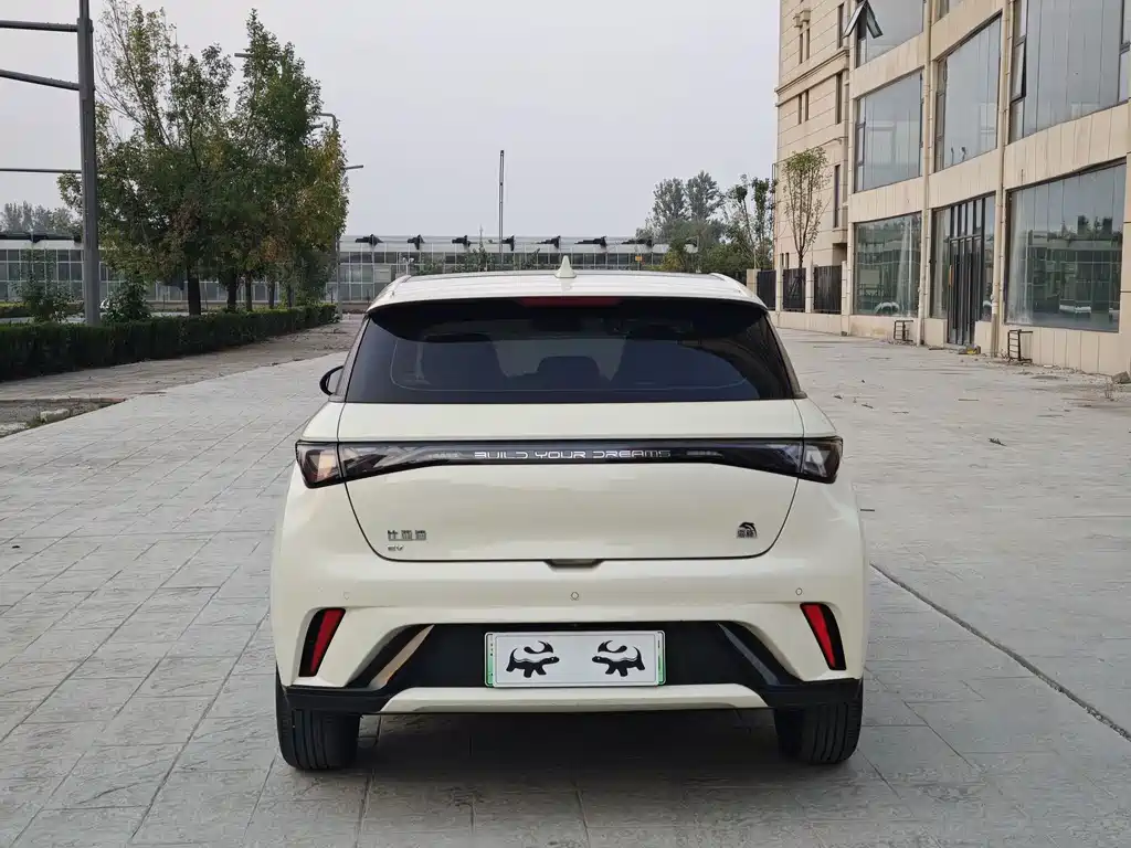 BYD Dolphin — миниатюра 6