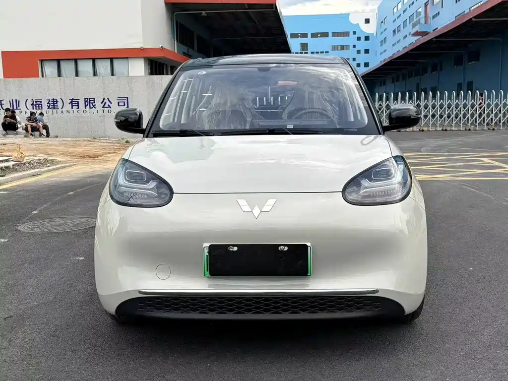 Wuling Binguo 2025 333km