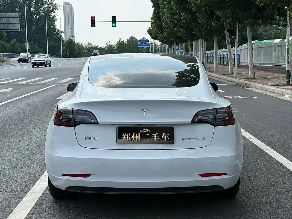 Tesla Model 3 — миниатюра 19