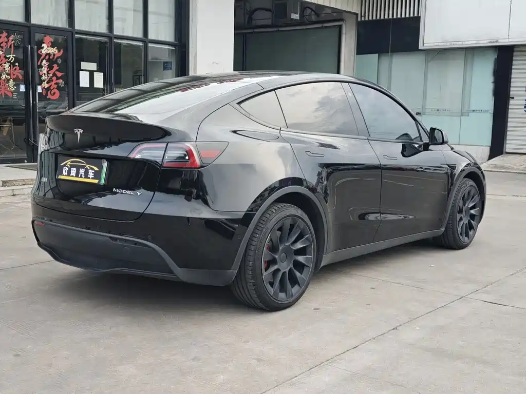 Tesla Model Y — миниатюра 4