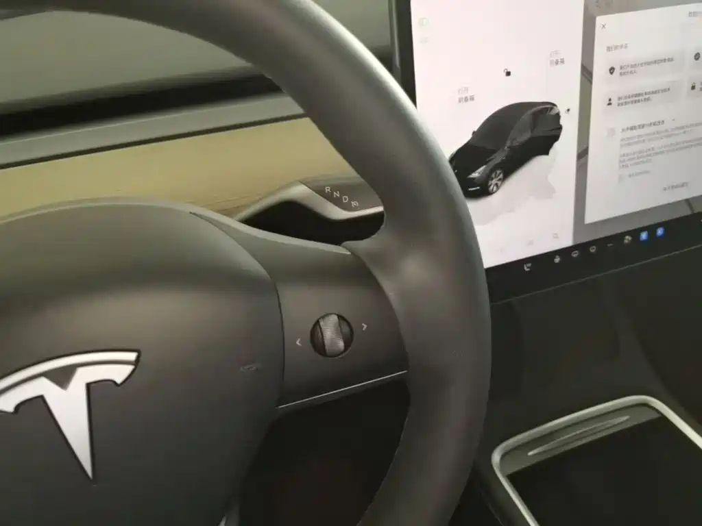 Tesla Model Y — миниатюра 14