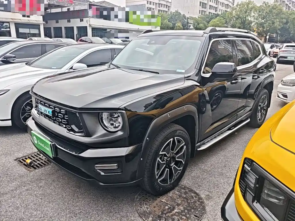 Haval Big Dog PLUS New Energy — миниатюра 2