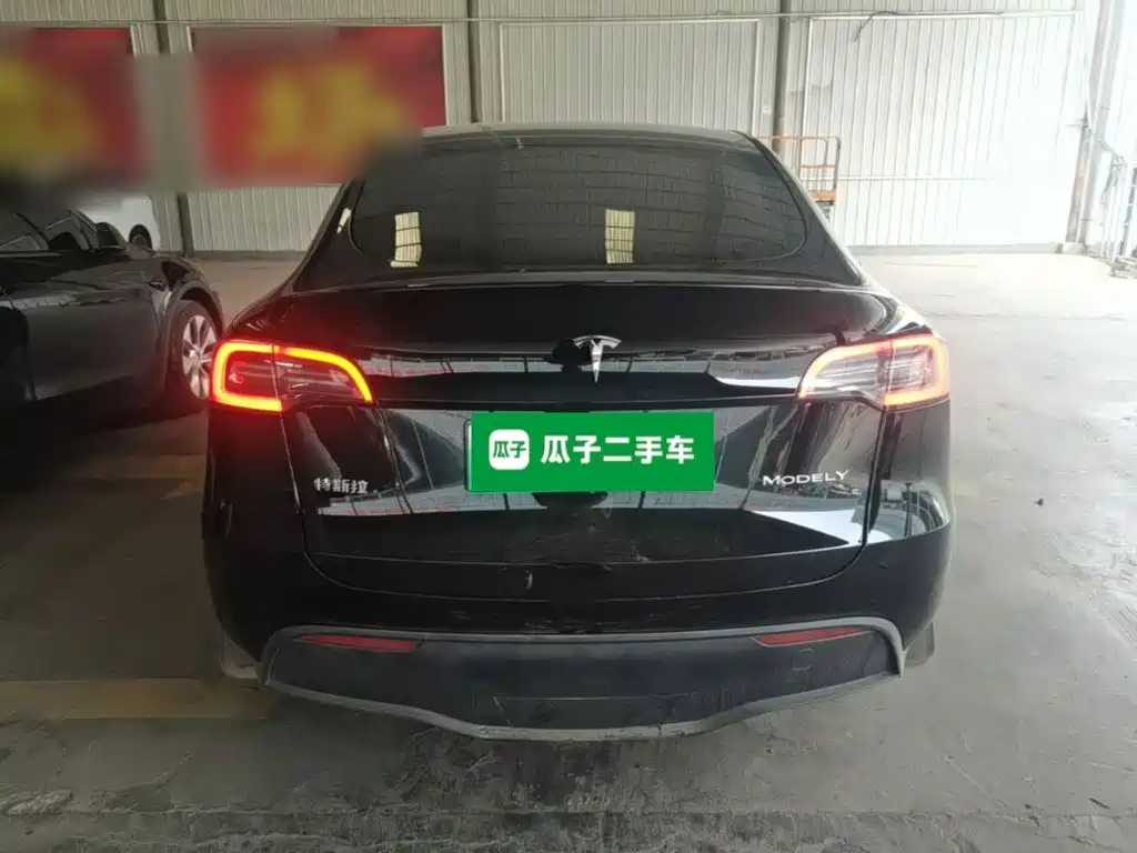 Tesla Model Y — миниатюра 6